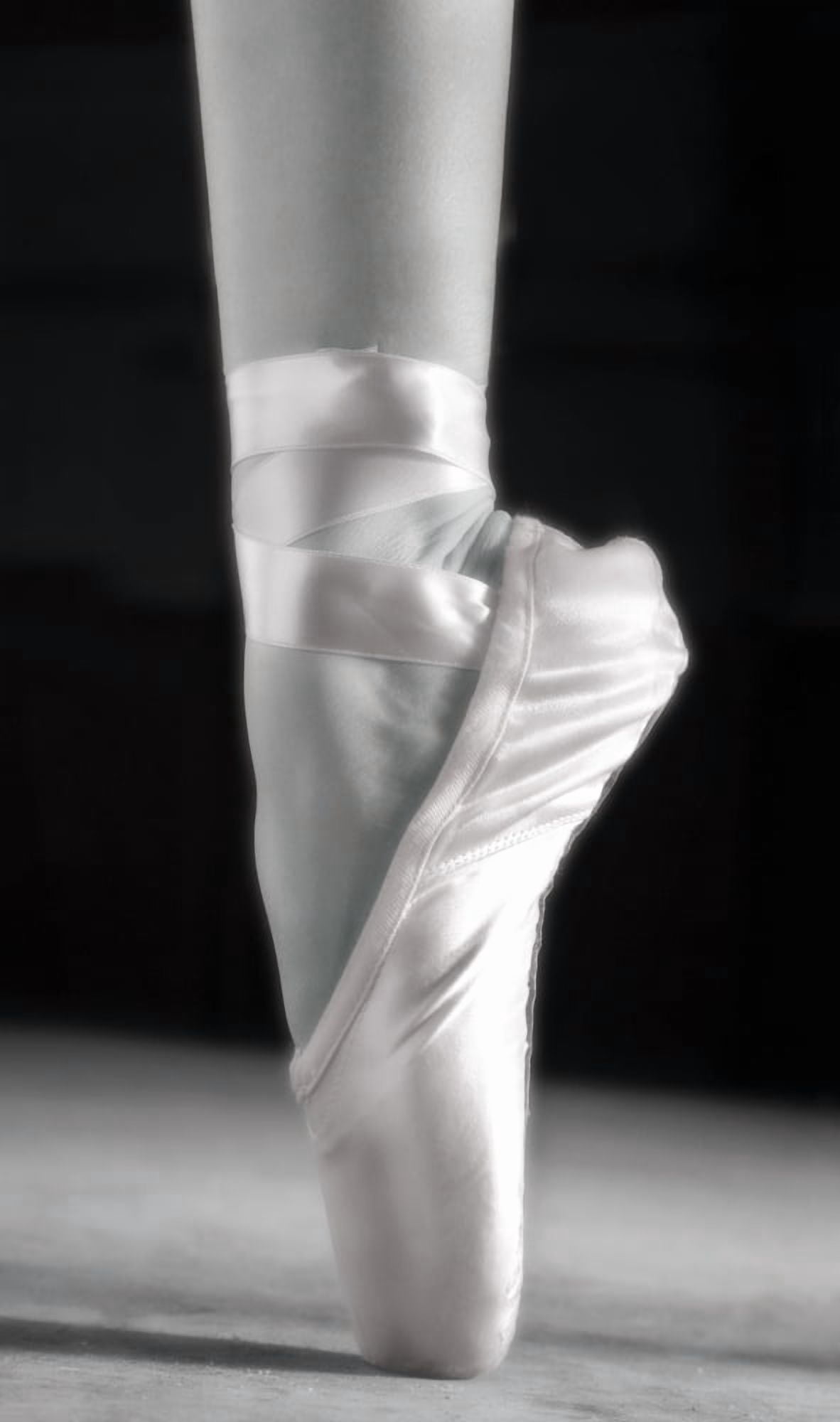 A Ballet Slipper Canvas Art - Don Hammond Design Pics (20 x 36)