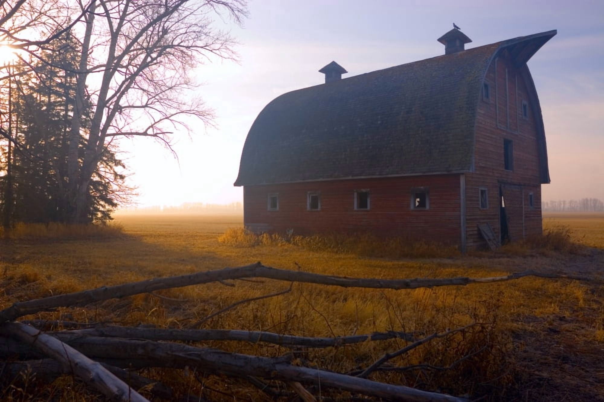 A Barn Sits In Morning Mist Canvas Art - Don Hammond Design Pics (17 x 11)