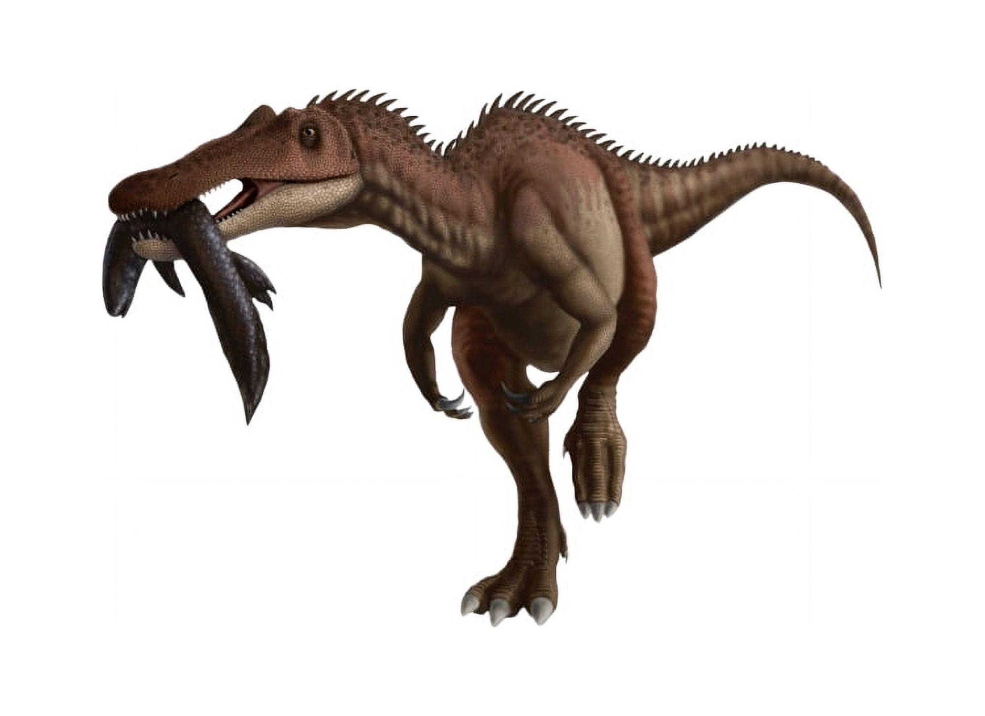 A Baryonyx dinosaur with a fish in mouth white background Canvas Art - Yuriy PriymakStocktrek Images (33 x 24)
