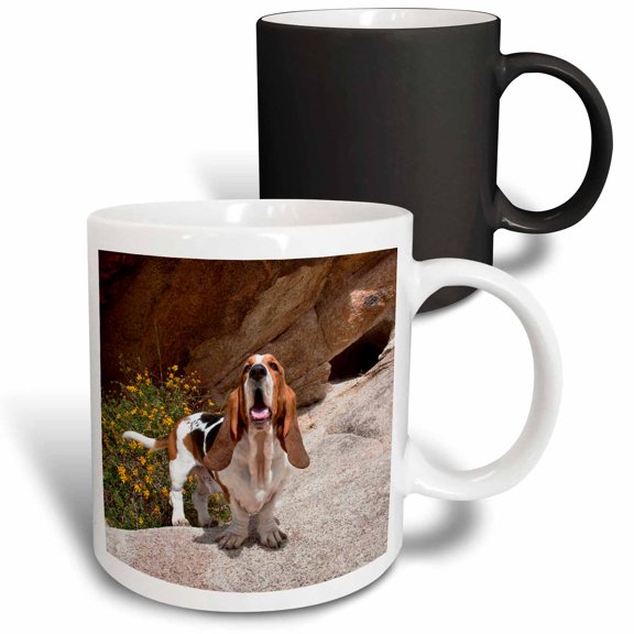 3drose, a Basset Hound Dog - Us05 Zmu0097 - Zandria Muench Beraldo, 11oz Magic Transforming Mug