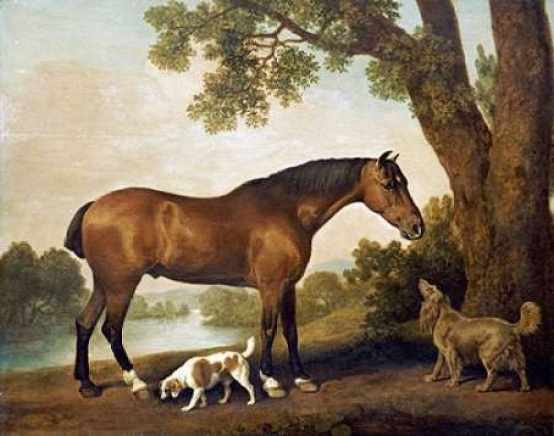 A Bay Hunter a Springer Spaniel and a Sussex Spaniel 1782 Canvas Art - George Stubbs (22 x 28)