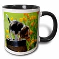 thumbnail image 1 of 3drose, a Beagel Puppy Smelling Flowers, 11oz Two-tone Black Mug, 1 of 6