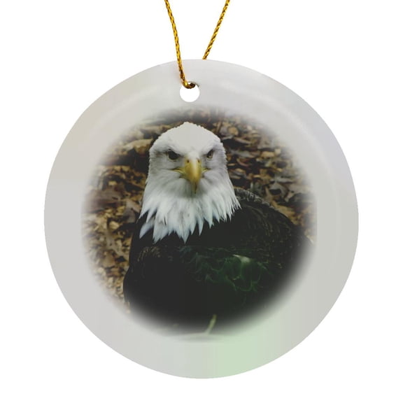 3drose, a Beautiful Bald Eagle That Is Perching Perfect, Circle Porcelain Ornament