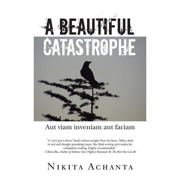 A Beautiful Catastrophe: Aut Viam Inveniam Aut Faciam, (Paperback)