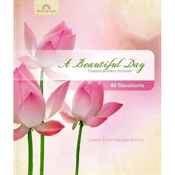 Pre-Owned A Beautiful Day (Hardcover) 1935416596 9781935416593