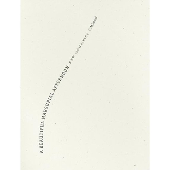 Pre-Owned A Beautiful Marsupial Afternoon: New (Soma)Tics (Paperback) 193351759X 9781933517599
