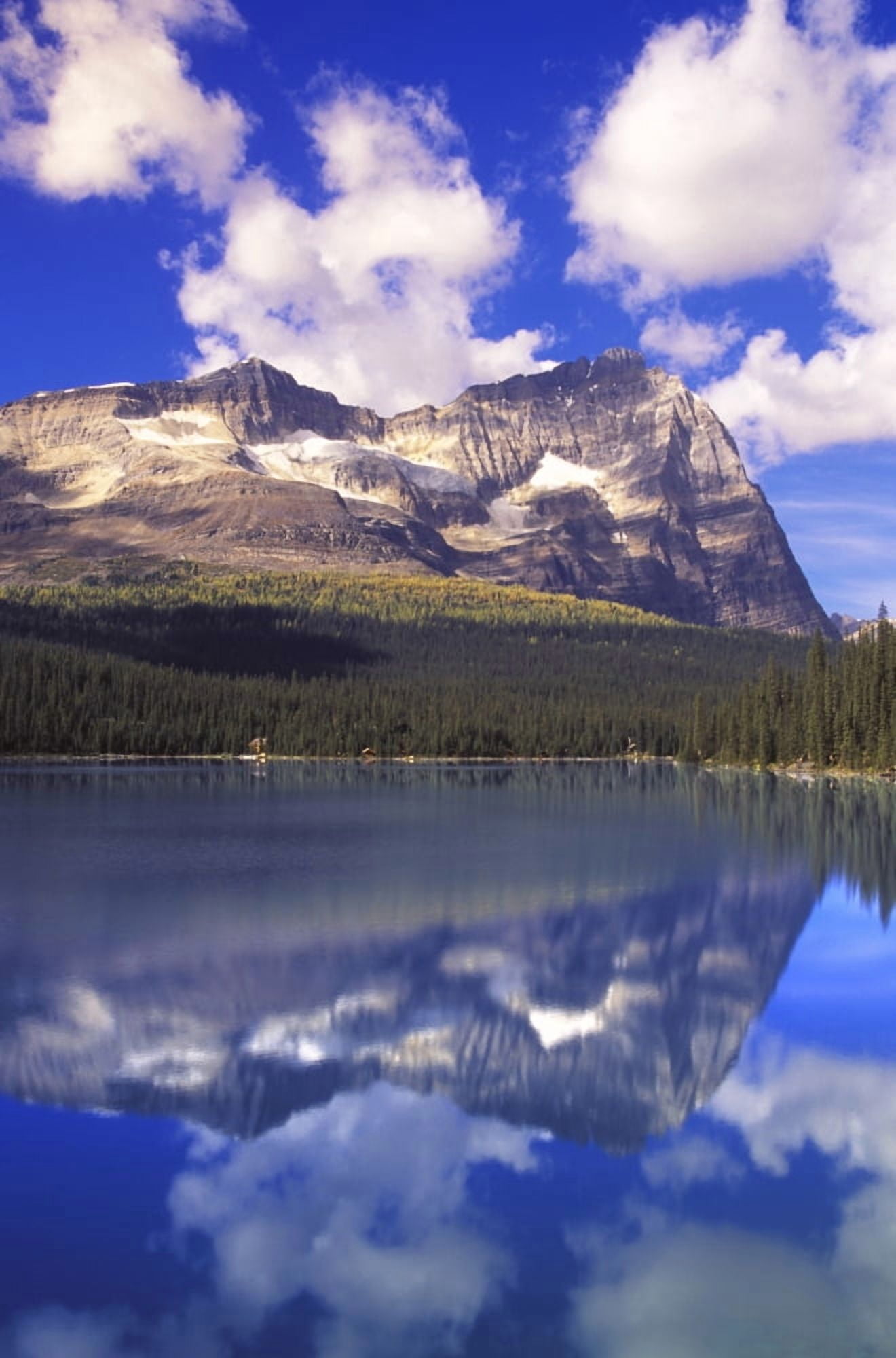 A Beautiful Mountain Reflection Canvas Art - Carson Ganci Design Pics (22 x 34)