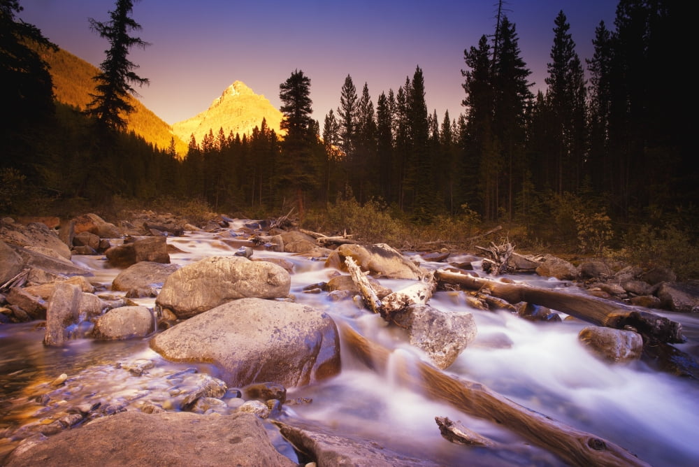 A Beautiful Mountain Stream Canvas Art - Darren Greenwood Design Pics (17 x 11)
