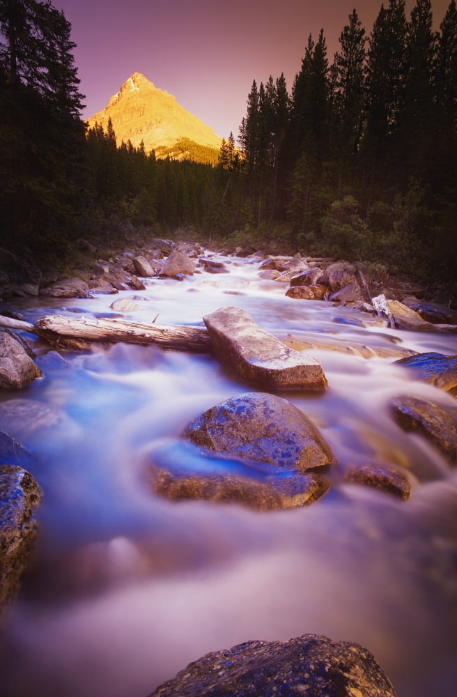 A Beautiful Stream Canvas Art - Darren Greenwood Design Pics (11 x 17)