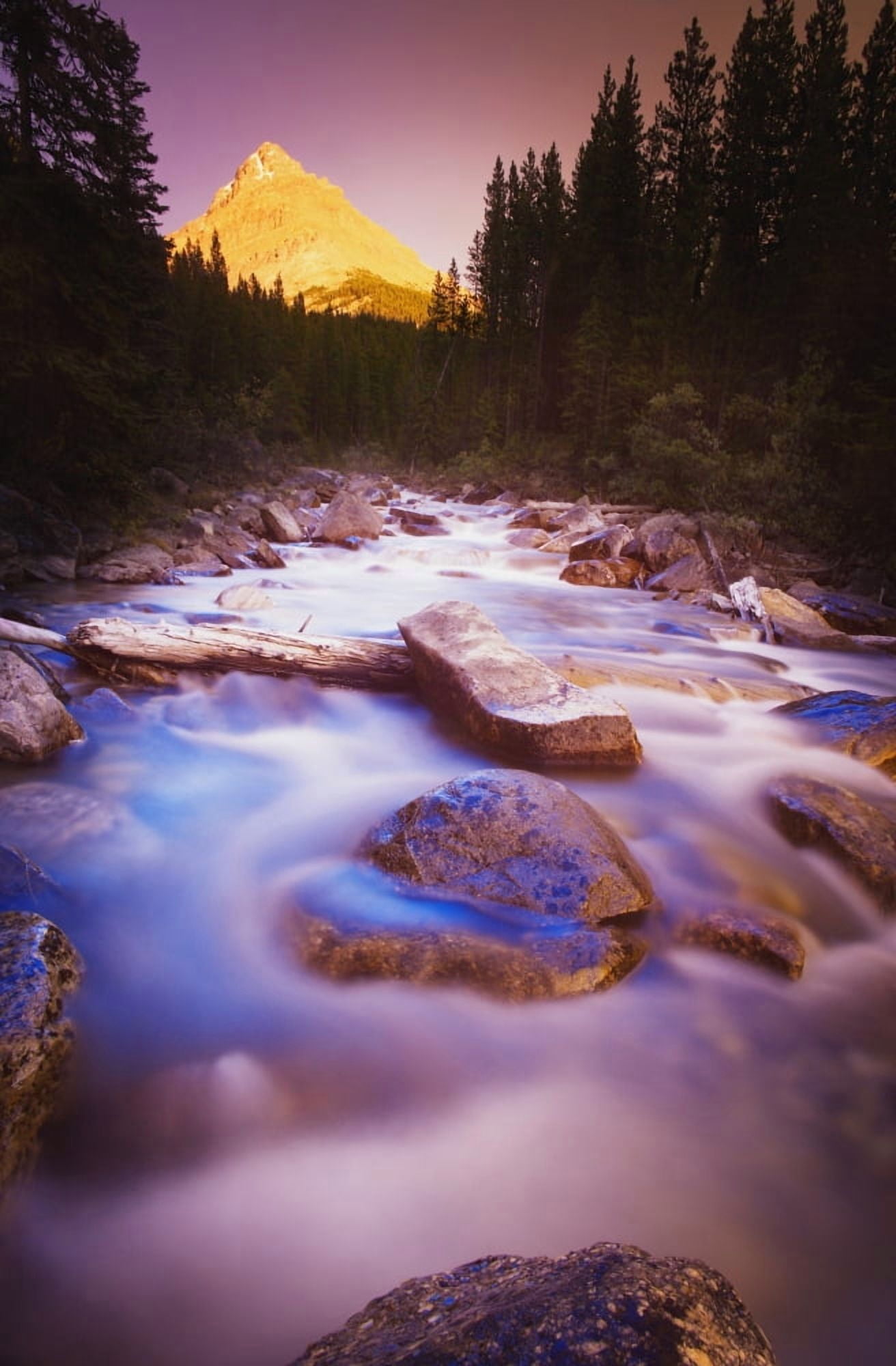 A Beautiful Stream Canvas Art - Darren Greenwood Design Pics (22 x 34)