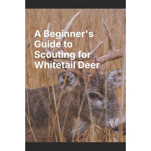 A Beginner's Guide to Scouting for Whitetail Deer, (Paperback)