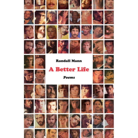 A Better Life (Paperback)