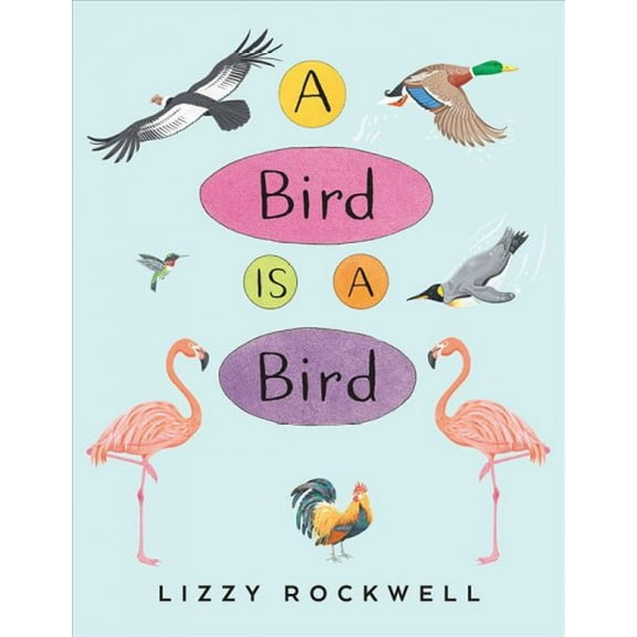 A Bird Is a Bird (Paperback)