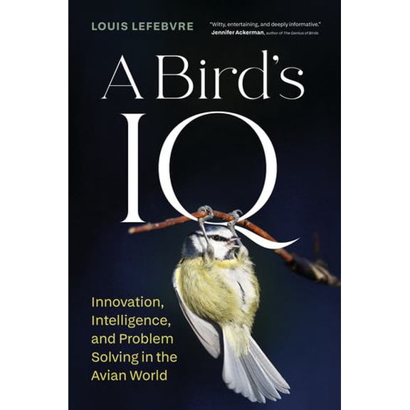 A Bird's IQ: Innovation, Intelligence, and Problem Solving in the Avian World