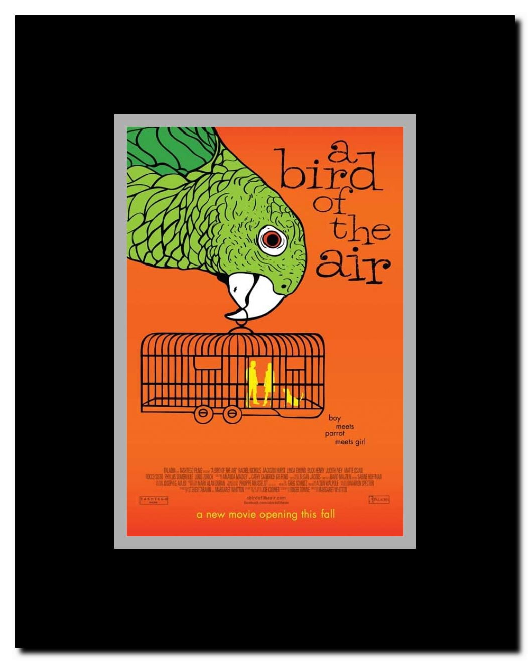 A Bird of the Air Framed Movie Poster