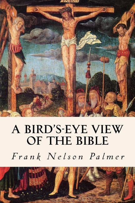 A Bird's-Eye View of the Bible, (Paperback)
