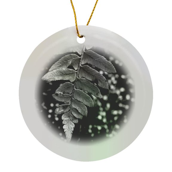 3drose, a Black and White Macro Photograph of a Fern Leaf Hanging over Moss., Circle Porcelain Ornament