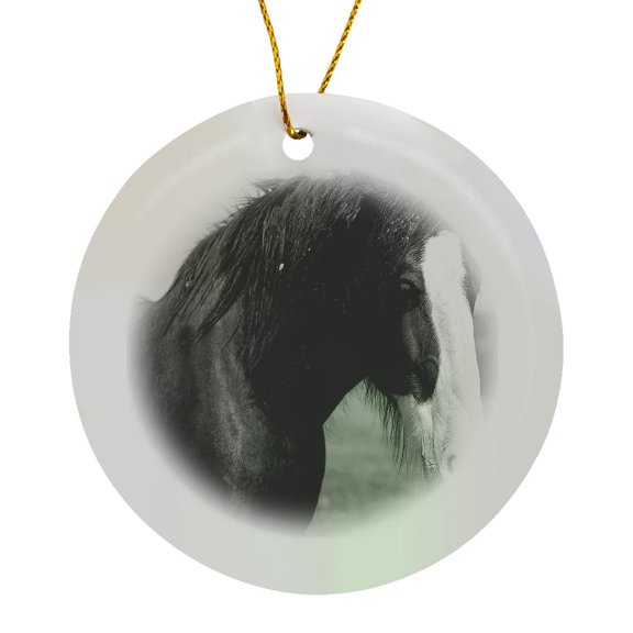 3drose, a Black and White of a Magnificent Horse Standing Close up to the Camera Looking Off in the Distance, Circle Porcelain Ornament