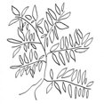thumbnail image 1 of A Black and White Tree Poster Print by Jan Weiss (24 x 24), 1 of 2