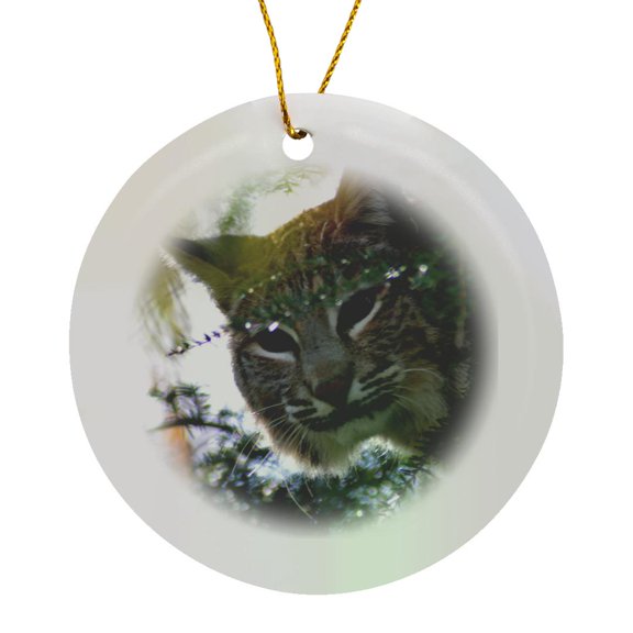 3drose, a Bobcat Sitting in a Tree Looking down at You, Circle Porcelain Ornament