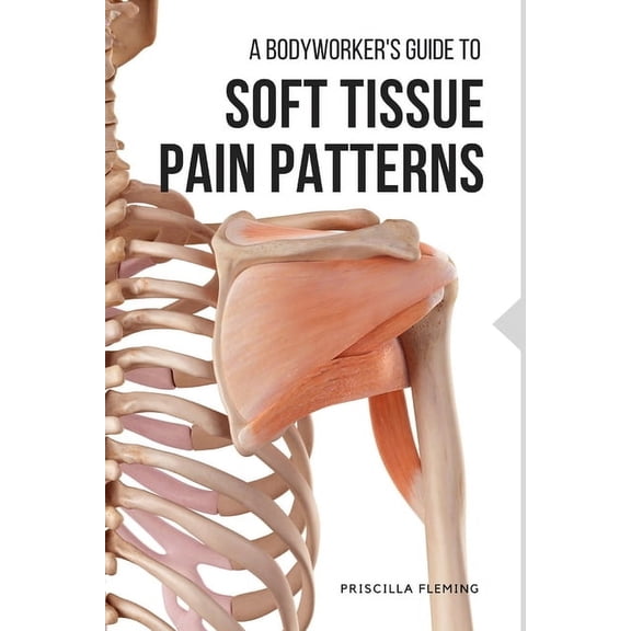 A Bodyworker's Guide to Soft Tissue Pain Patterns, (Paperback)