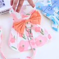 thumbnail image 1 of A Bow Dress with Traction Rope Adorable Pet Clothes for Cats & Small Dogs - Charming Spring & Autumn Wear, 1 of 2