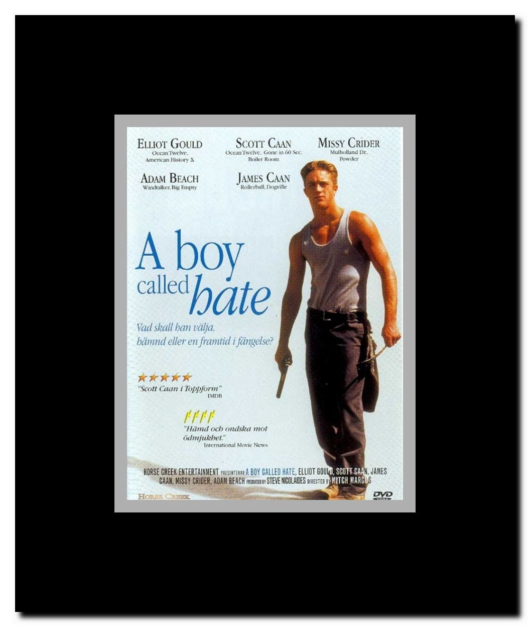 A Boy Called Hate Framed Movie Poster