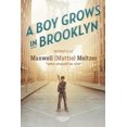 thumbnail image 1 of A Boy Grows in Brooklyn (Paperback), 1 of 5