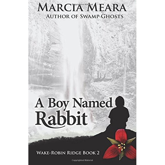 Pre-Owned A Boy Named Rabbit: Wake-Robin Ridge Book 2: Volume 2 Paperback