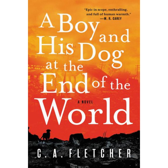 Pre-Owned A Boy and His Dog at the End of the World (Paperback) 0316449431 9780316449434