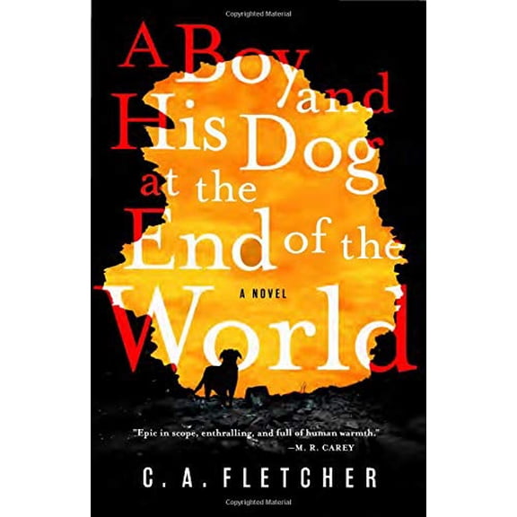 Pre-Owned A Boy and His Dog at the End of the World (Hardcover) 0316449458 9780316449458