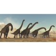 thumbnail image 1 of A Brachiosaurus dinosaur herd moving through a dry desert area. Poster Print by Corey Ford/Stocktrek Images, 1 of 2