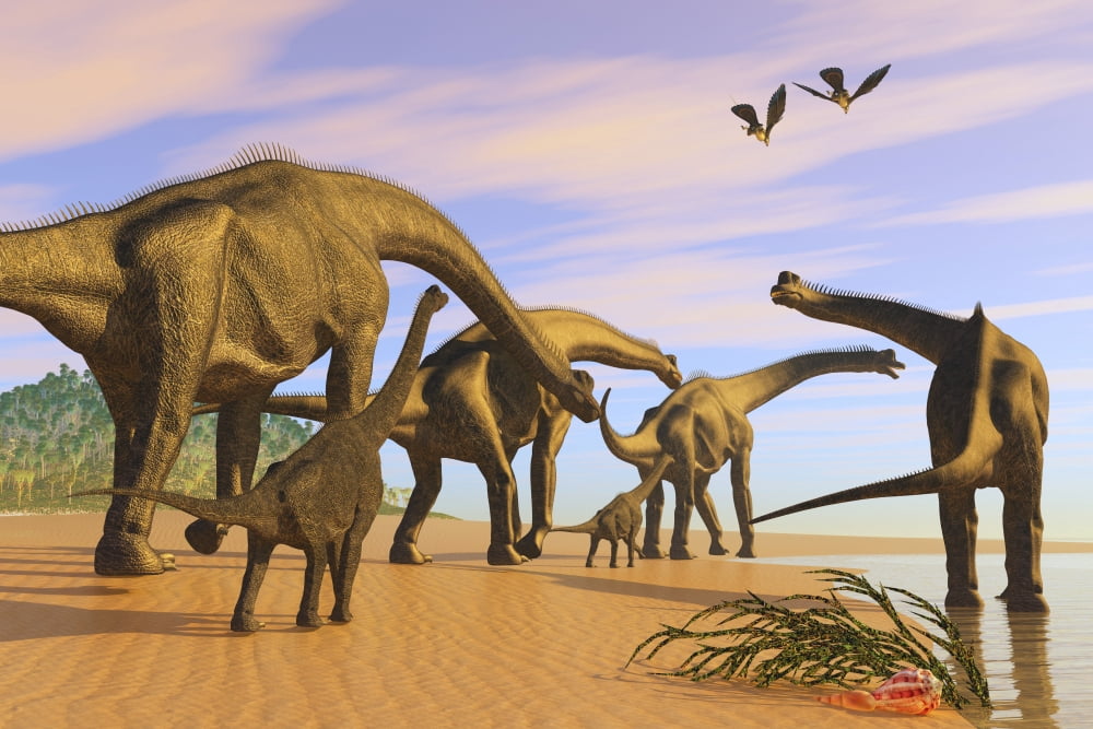 A Brachiosaurus herd walks down a wet sandy beach Canvas Art - Corey FordStocktrek Images (35 x 23)