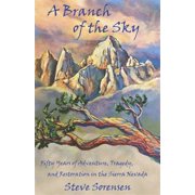 A Branch of The Sky Paperback