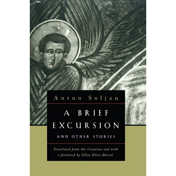 A Brief Excursion and Other Stories (Paperback)