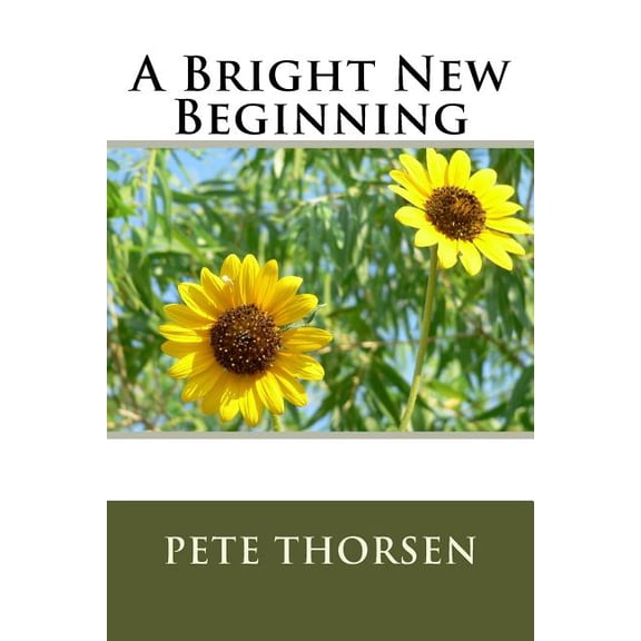 A Bright New Beginning (Paperback)