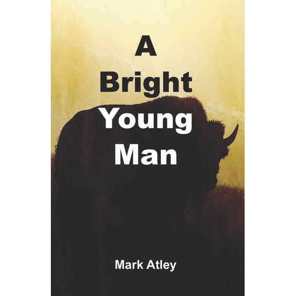 A Bright Young Man (Paperback)