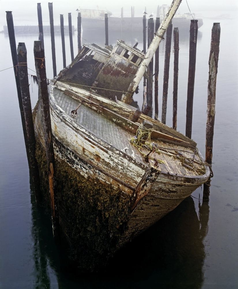 A Broken Boat Canvas Art - David Chapman Design Pics (13 x 16)