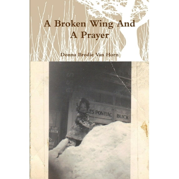 A Broken Wing And A Prayer, (Paperback)