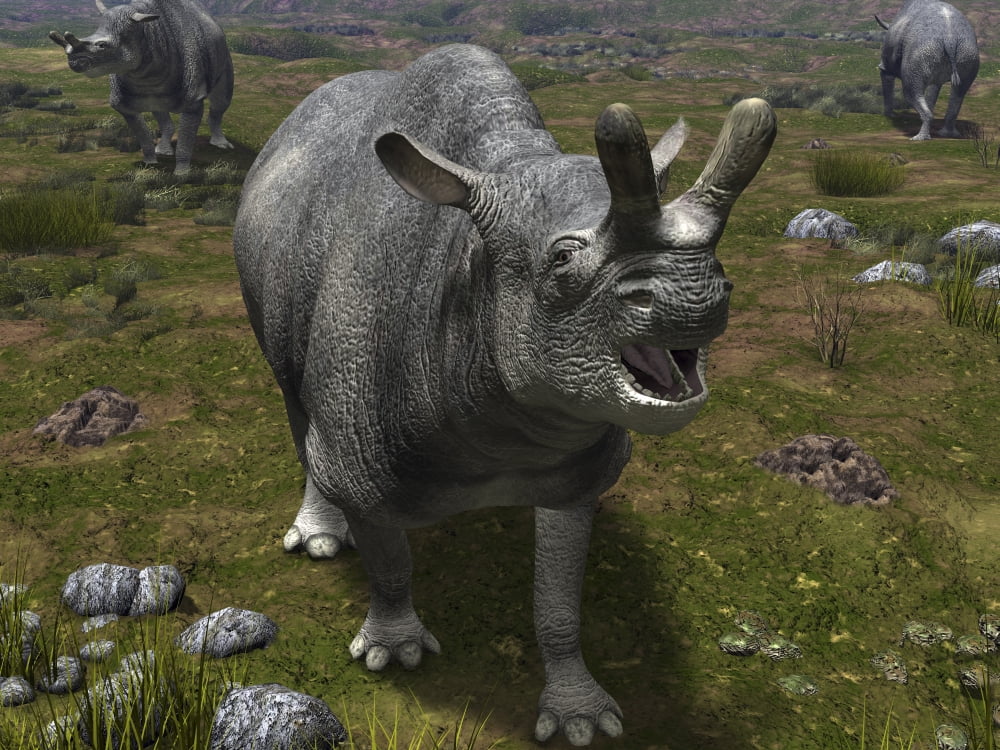 A Brontotherium leaves his forest habitat in search of a meal Canvas Art - Walter MyersStocktrek Images (33 x 25)