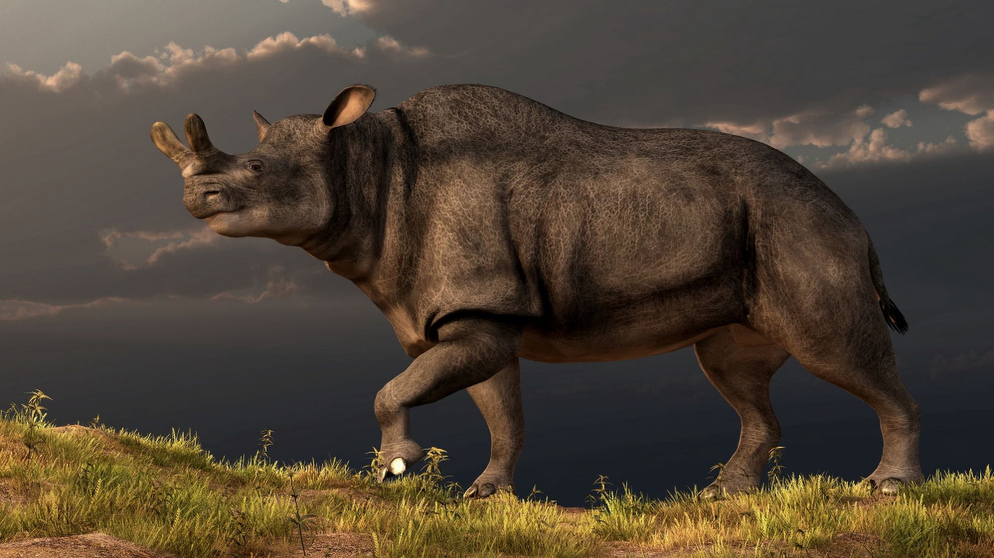 A Brontotherium walking atop a grassy hill Canvas Art - Daniel EskridgeStocktrek Images (38 x 21)