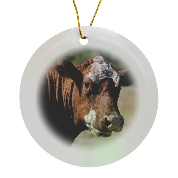 3drose, a Brown and White Cow Looking Toward the Camera Close Up, Circle Porcelain Ornament