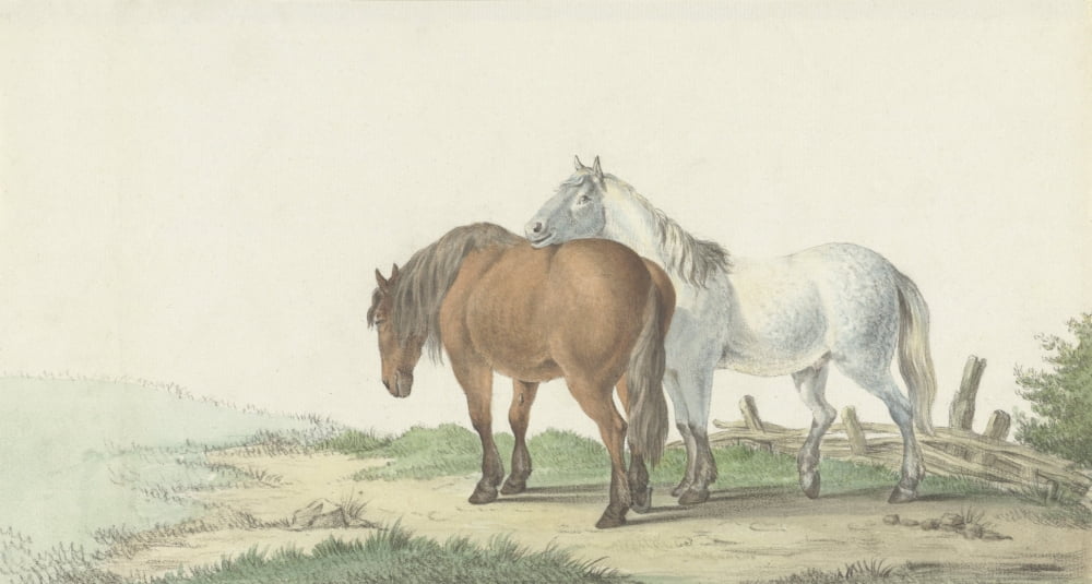 A Brown And White Horse On A Road Next To A Fence Canvas Art - (24 x 18)