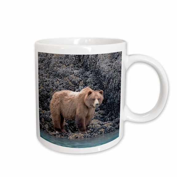 3drose, a Brown Bear Looking for Food at Low Tide, Muir Inlet, Glacier Bay., 11oz Mug