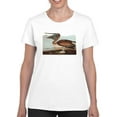 thumbnail image 1 of A Brown Pelican T-Shirt Women -John James Audubon Designs, Female Small, 1 of 4
