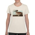 thumbnail image 1 of A Brown Pelican T-Shirt Women -John James Audubon Designs, Female XX-Large, 1 of 4