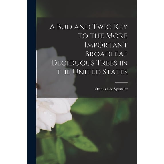A Bud and Twig Key to the More Important Broadleaf Deciduous Trees in the United States, (Paperback)