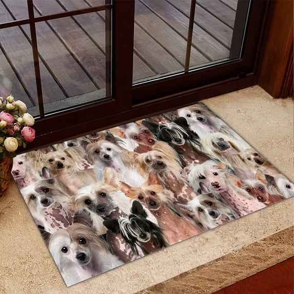 A Bunch of Chinese Crested Doormats Dog Mat Entrance Front Door Rug Outdoors/Indoor/Bathroom/Kitchen/Bedroom Floor Mats,Non-Slip Welcome Doormat for Dog Lovers,16 x 24 inch