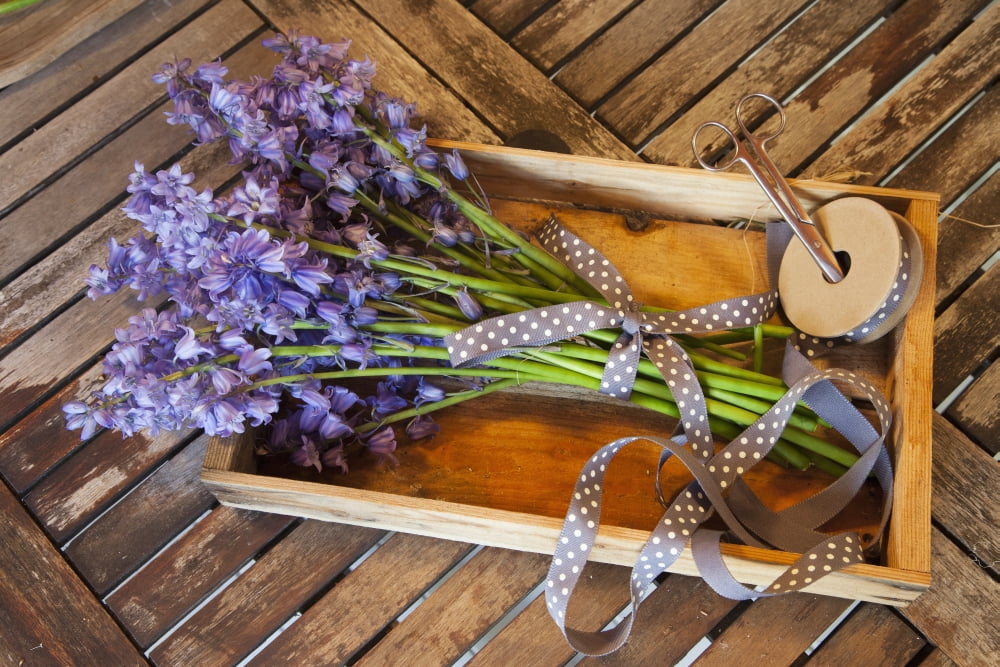 A Bundle Of Bluebells Wrapped With Ribbon Northumberland England Canvas Art - John Short Design Pics (19 x 12)