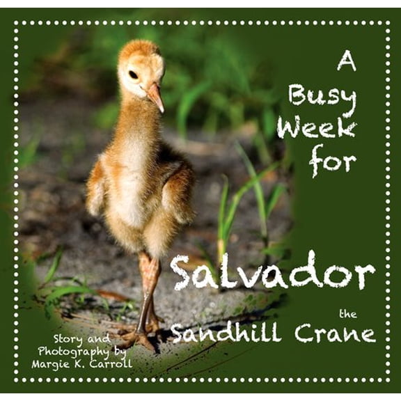 Pre-Owned A Busy Week for Salvador the Sandhill Crane (Hardcover) 0984479309 9780984479306